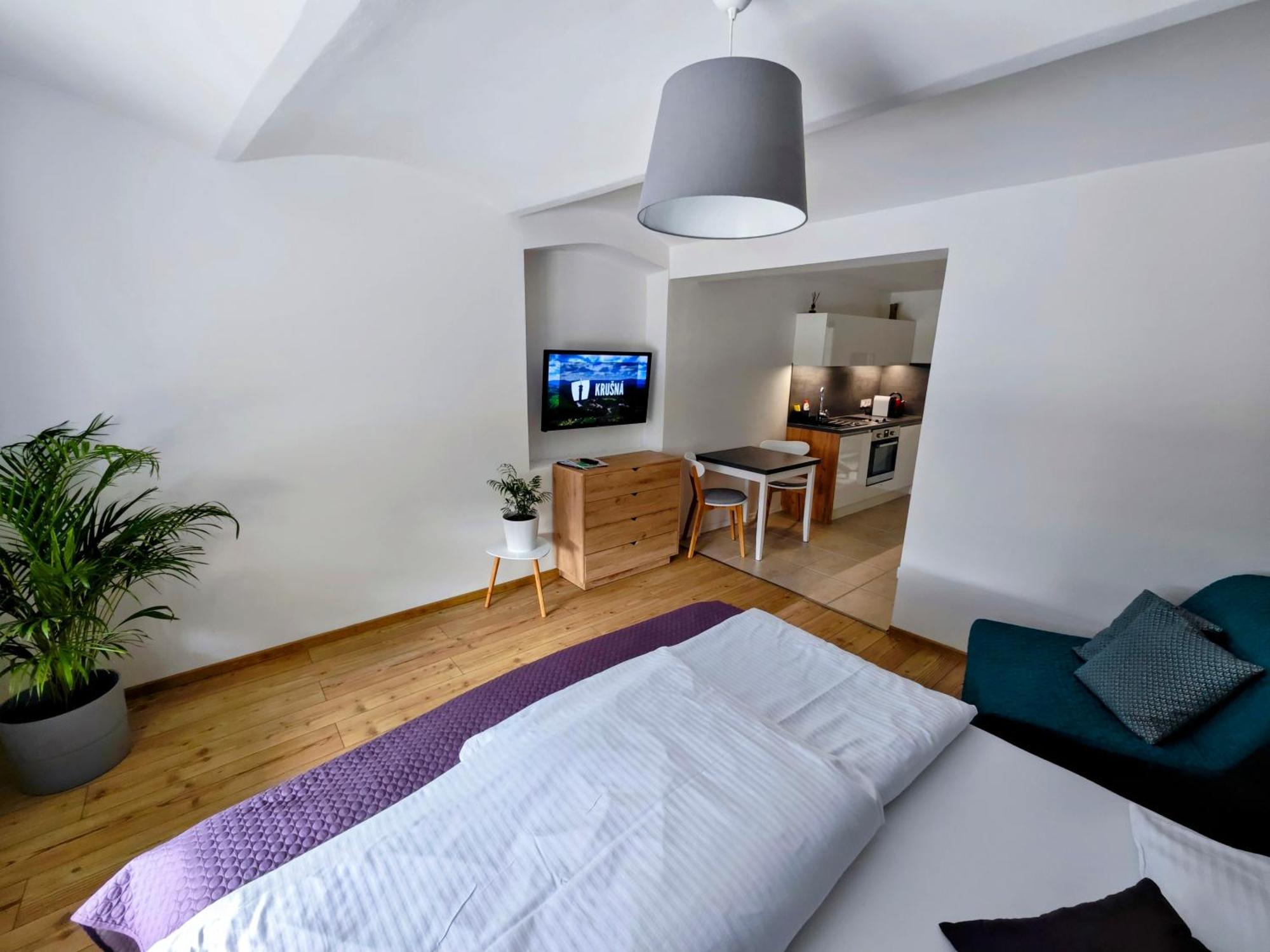 Apartmany 91 Bozi Dar Room photo
